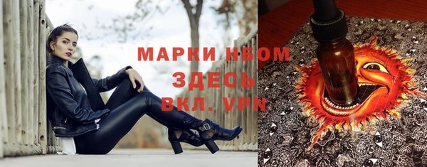 ПСИЛОЦИБИНОВЫЕ ГРИБЫ Каменногорск