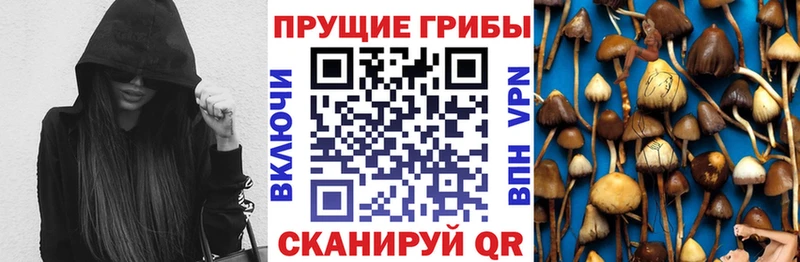 Купить  Лермонтов  Псилоцибиновые грибы прущие грибы 