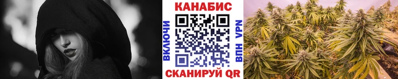 Канабис планчик Купить Лермонтов